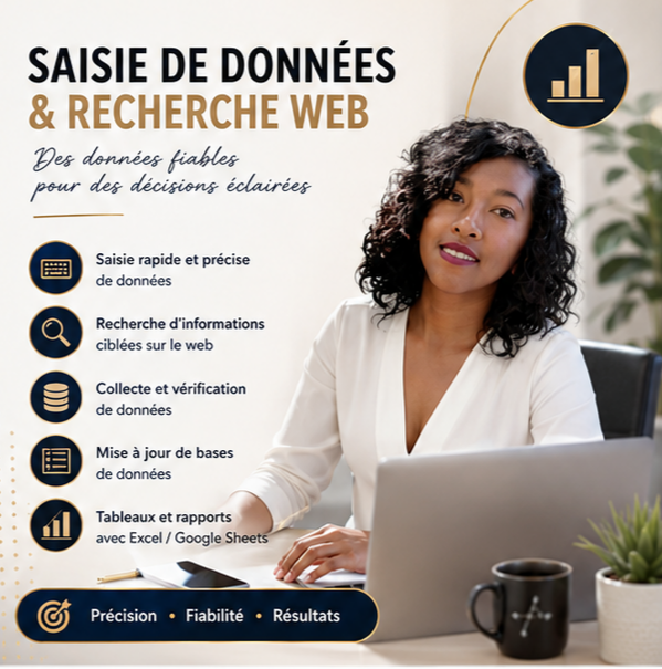SAISIE DE DONNÉES & RECHERCHE WEB